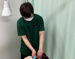 スタッフ写真